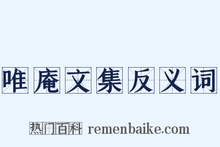 唯庵文集反义词是什么意思的图片